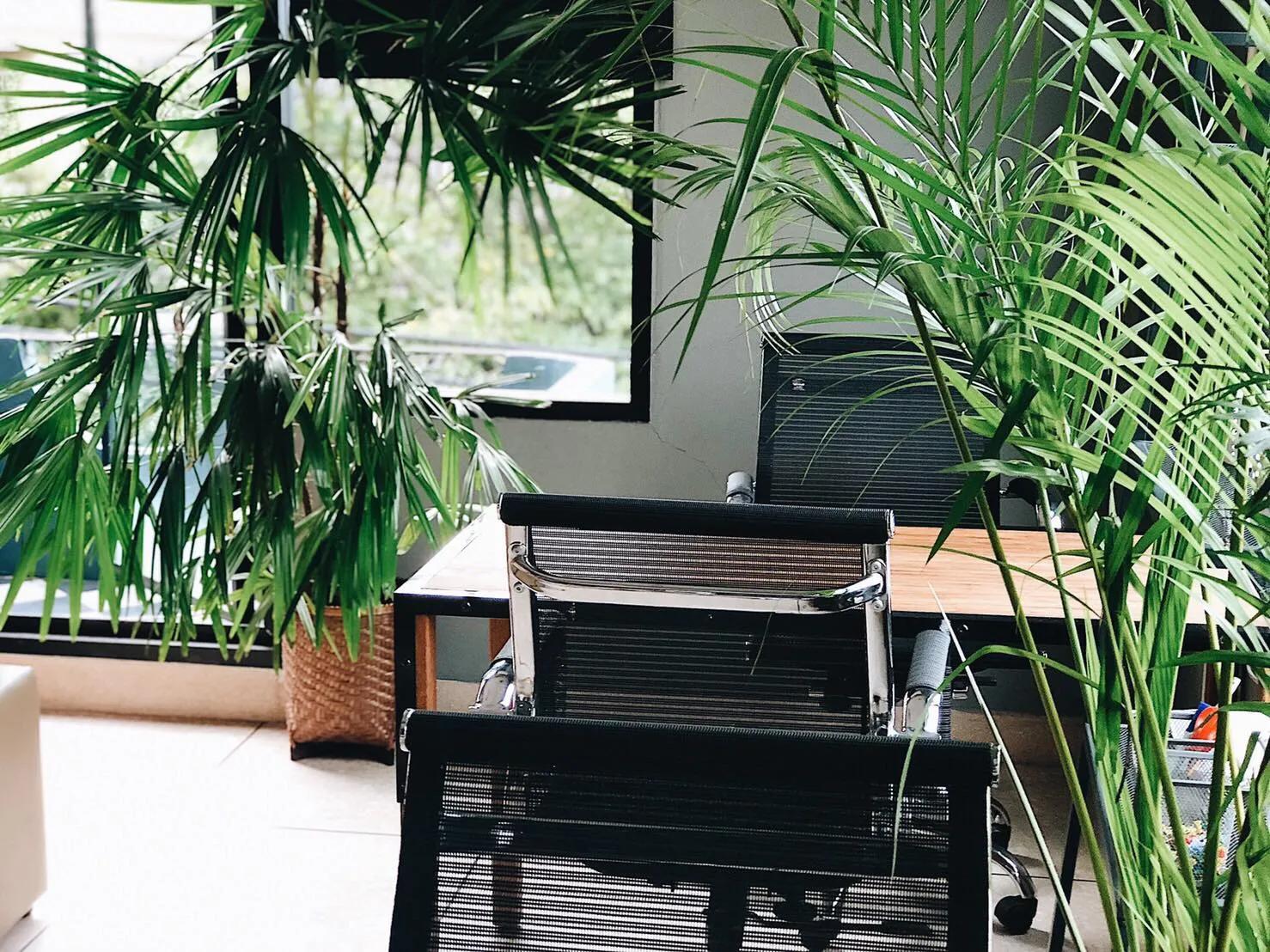 Co Working Space