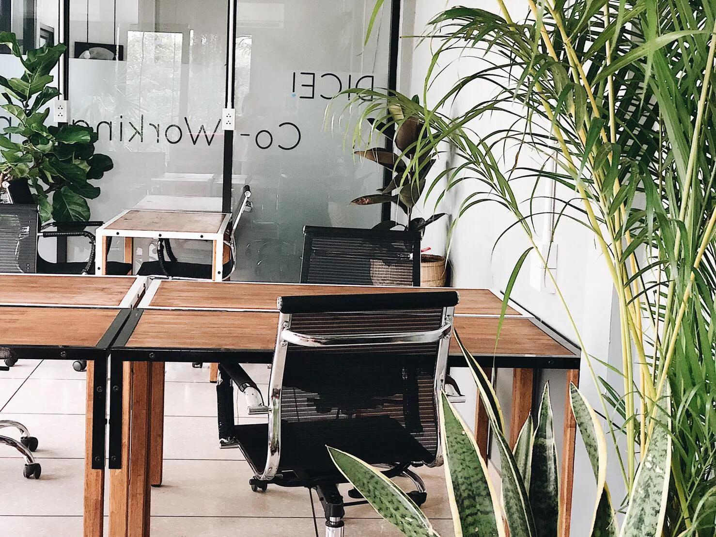 Co Working Space